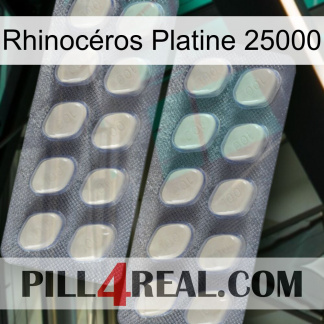 Rhinocéros Platine 25000 07